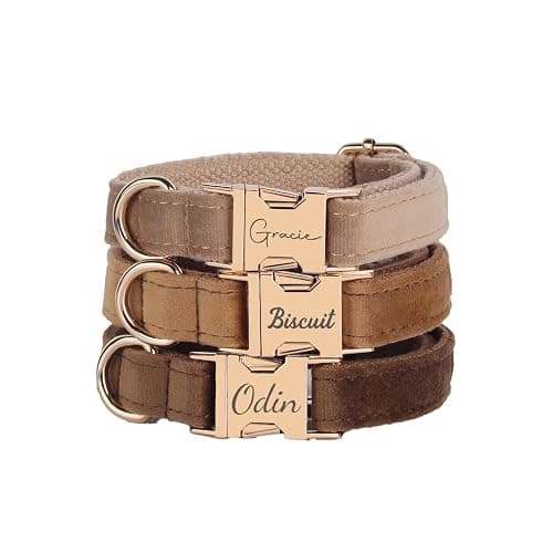 Velvet Harness Set, Gift for Pet Owners, Custom Dog Collar Personalized with Name and Phone Number, Custom Collar and Leash for Dogs, Engraved Metal Buckle Collar (X-Small) thumbnail 7