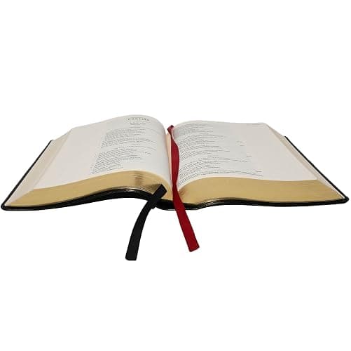 KJV Journal the Word Bible, Reflect, Journal or Create Art Next to Your Favorite Verses (Pink Floral Cloth over Board, Red Letter, Comfort Print: King James Version Holy Bible) thumbnail 5