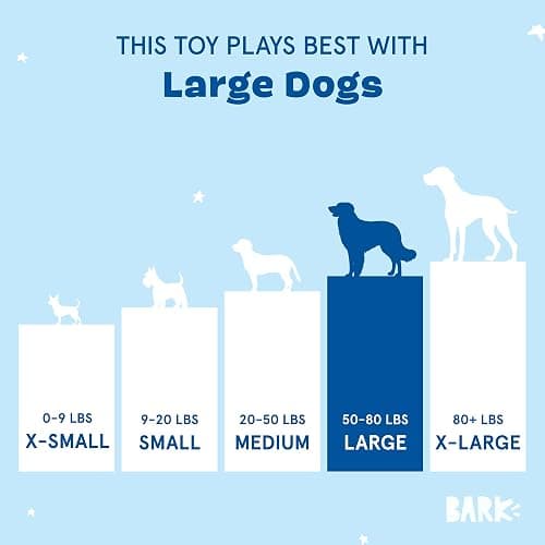 Barkbox Consuela The Cactus 2-in-1 Interactive Plush Dog Toy - Squeaky Dog Chew Toy with Crinkle Layers - for Large Dogs and Puppies thumbnail 6