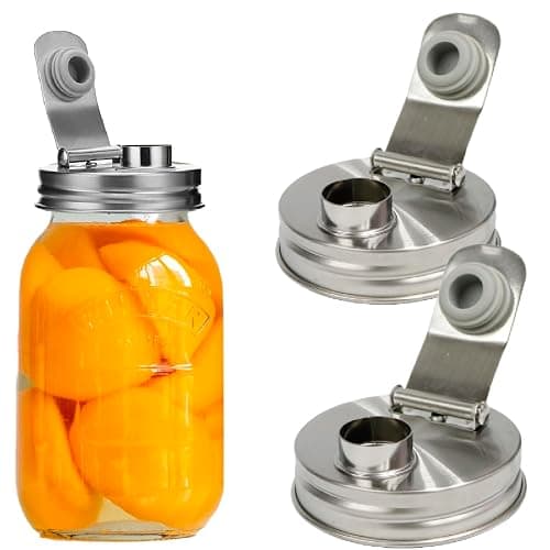 Mason Jar Pour Spout Lid Stainless Steel,Pour Spout Flip Cap Lids for Mason Jars,No Rust Leaking Proof for Home Brewing Fruit Fermenting Drinks Airtight(2PCS) (Regular Mouth) - Image 1