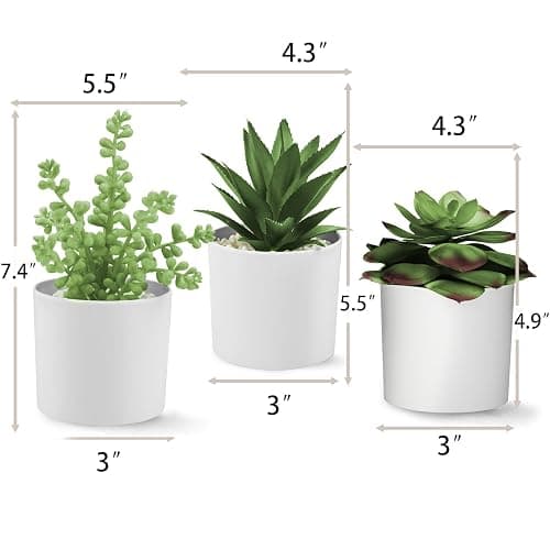 Hopewood Succulent Plants Artificial in White Pots Small Faux Potted Succulents Fake Plants in Vase Set of 3 thumbnail 3
