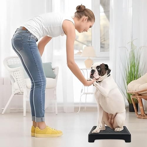 Wzenclave Dog Training Place Board with Non-Skid Surface, Dog Platform for Training, Dog Training Equipment Suitable for Small, Medium Dogs (Not for Large Dog) thumbnail 3