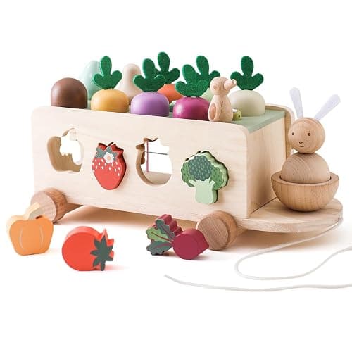 OESSUF Montessori Toys Toddlers Wooden Educational Toys for Baby Boys Girls, Shape Sorting & Matching Fine Motor Skills Toys, Birthday Gifts for Kids thumbnail 2
