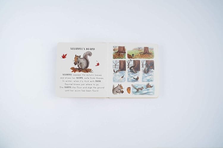 Slow Down… Discover Nature in the Park: Bring calm to Baby's world with 6 mindful nature moments thumbnail 6