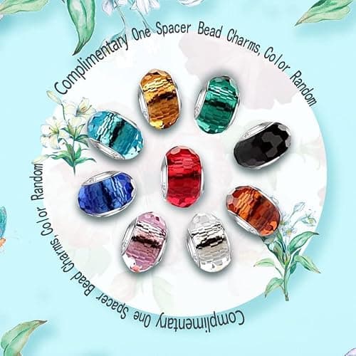 HappyStar beads charms,passt Charms Armbänder Halskette Europäischen Schmuck ，Bead Charms für Damen,925 Sterling Silber Dangle Anhänger thumbnail 6