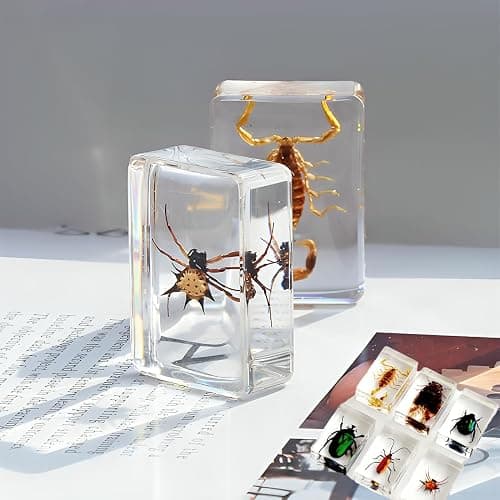 20 Pieces Insect in Resin Bug Preserved Specimen Collection Paperweights Resin Insects Various Insect Specimen for Office, Men, Women, Biology, Science Teacher, Education, Bug Collection Supplies thumbnail 2