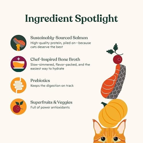 Made by Nacho Dry Cat Kibble 11lb Bag, High Protein and Grain-Friendly Premium Cat Food, Sustainably Caught Salmon and Pumpkin, Infused with Bone Broth for Hydration, Limited Ingredients, Single Bag thumbnail 4