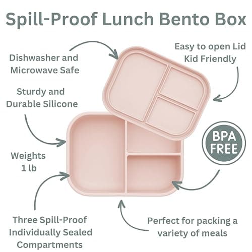 Ali+Oli Silicone Bento Box for Kids, Baby Lunch Box, BPA-Free, Spill-Proof | Daycare, Preschool, Food separation, Portion control, Snack storage, Travel-friendly, Easy cleaning, Toddlers thumbnail 7