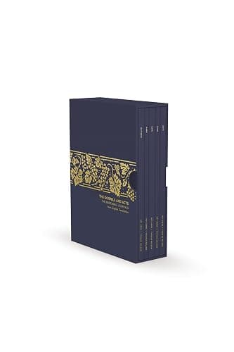 The Gospels and Acts: NET Abide Bible Journals Box Set, Comfort Print: Holy Bible - Image 1