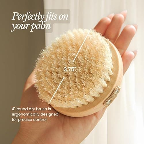 Bare Botanics Dry Body Brush for Lymphatic Drainage - Improve Circulation w/Gentle Exfoliation for Soft Skin - Ergonomically Designed w/Elastic Strap - Soft but Firm Natural Boar Bristles thumbnail 5