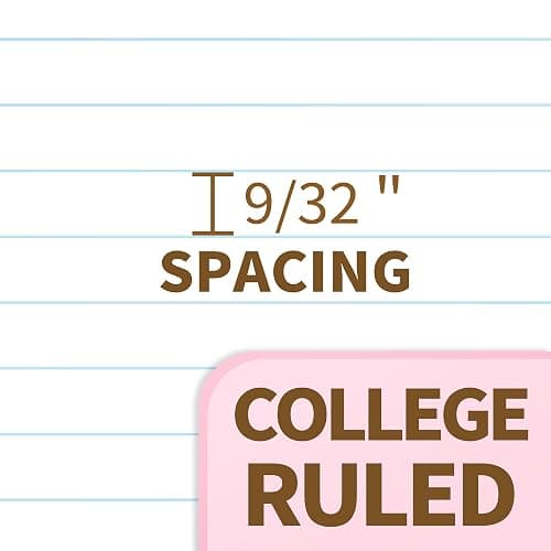 SUNEE Spiral Notebook, 1-Subject, College Ruled Paper, 8" x 10-1/2", 100 Sheets per Notebook, 3-Hole Punched Paper, Water Resistant Cover, Double-sided Pockets, Spiral Lined Notebooks for Work, Pink thumbnail 4