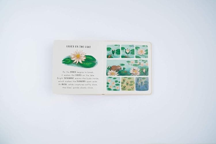 Slow Down… Discover Nature in the Park: Bring calm to Baby's world with 6 mindful nature moments thumbnail 9