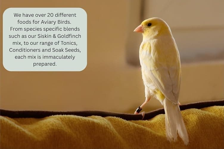 Johnston & Jeff 1kg Expert Budgerigar Seed Mixed Budgie Aviary Bird Seed thumbnail 5