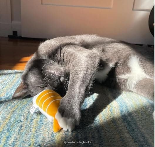 munchiecat Premium Organic Catnip Sushi Toy (1-pc) for Cats, Kittens - USA Made Durable Design for Pouncing, Batting and Play thumbnail 2