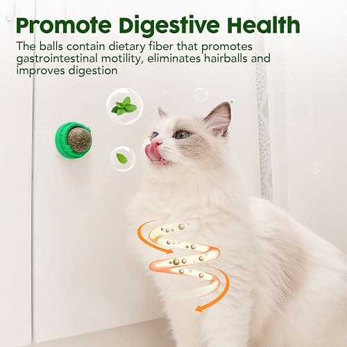Potaroma Catnip Toys Balls 4 Pcs, Extra Cat Energy Ball, Edible Kitten Silvervine Toys for Cats Lick, Healthy Kitty Teeth Cleaning Dental Chew Toys, Cat Wall Treats (Green) thumbnail 4