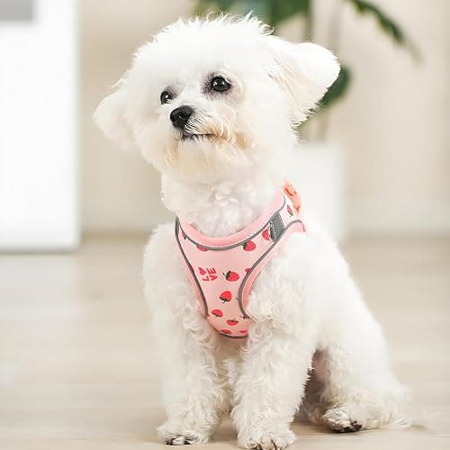 Step in Dog Harness and Leash Set, Flower Adjustable Easy Walk Puppy Harnesses, Soft Mesh No Pull Pet Vest Harness for Small Medium Dogs(Strawberry, S) thumbnail 5