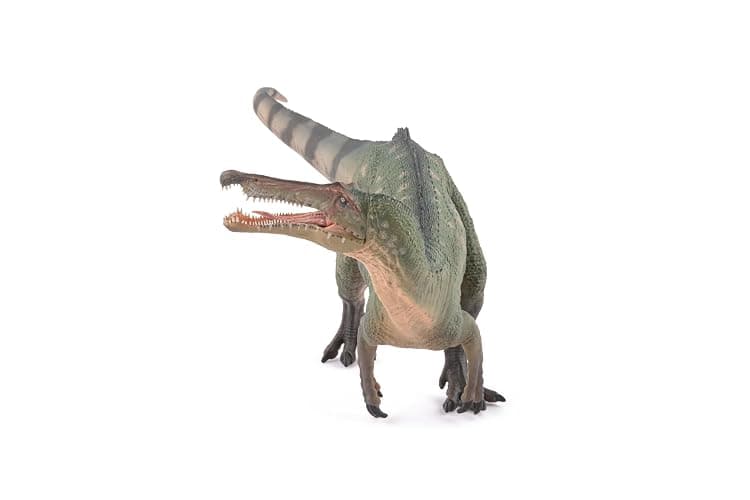 PAPO - Figurine Peinte à la Main - Suchomimus - Dinosaures - Collection - pour Enfants - garçons et Filles - à partir de 3 Ans thumbnail 4