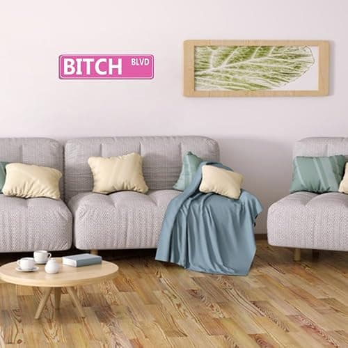 Retro Pink Tin Metal Sign - 'BITCH BLVD' - Bold Statement Decor for Home, Bar, or Dorm - 16x4 Inches - Unique Gift Idea for Friends(B71) thumbnail 2