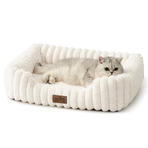 COZY KISS Orthopedic Dog Bed for Small Dogs & Cats - Washable Rectangle Pet Bed with Anti-Slip Bottom, Soft Calming Cat & Puppy Bed for Indoor Pets (25"x21"x6", Cream) - Image 1