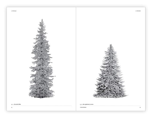 The Architecture of Trees thumbnail 6