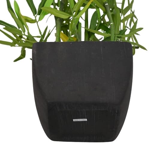 Westcharm 18 inch Faux Bamboo Plant - Lush Artificial Bamboo in Black Polyresin Pot with Decorative River Stones for Home Office Kitchen Living Room Countertop Mantel thumbnail 7