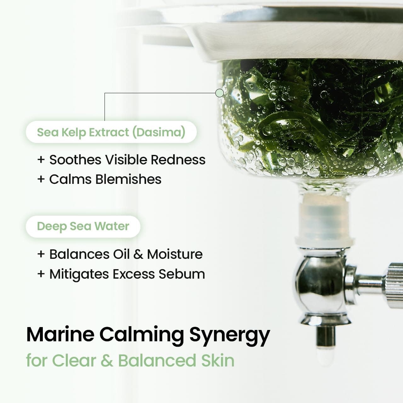 BIODANCE Refreshing Sea kelp Real Deep Mask, Overnight Hydrogel Mask, Calming, Oil & Sebum Control, Blemish Care, Korean Skincare | 1.19oz(34g) x 4ea thumbnail 4