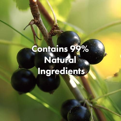 RATED GREEN Cold Press Tamanu Oil Comforting Hair Conditioning Mask | Organic Cold Pressed Black Currant | Silicone-Free, Korean Hair Care | 6.76 Fl. Oz thumbnail 5