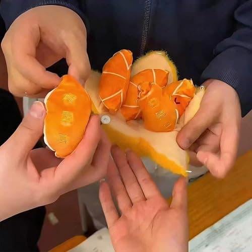 DTREELS Adorable Orange Tangerine Plush Keychain,Peelable Design,Orange Keychain Stuffed Doll Keyring Hanging Ornament Handbag Charm thumbnail 3