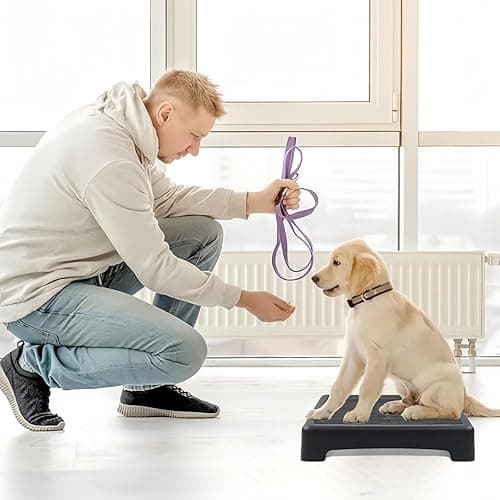 Wzenclave Dog Training Place Board with Non-Skid Surface, Dog Platform for Training, Dog Training Equipment Suitable for Small, Medium Dogs (Not for Large Dog) thumbnail 5