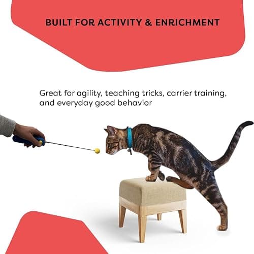 Cat Training Clicker with Detachable Wearable Finger Clicker & Target Stick – Positive Reinforcement Training Tool for Cats – Ideal for Behavior, Tricks & Enrichment thumbnail 7