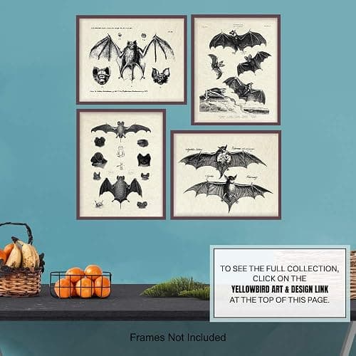 Bats Wall Decor - Vintage Retro Hipster Goth Art, Home or Room Decoration - Gift for Gothic, Horror, Vampire Fans - 8x10 UNFRAMED Creepy Scary Anatomical Picture Poster Print Set thumbnail 7