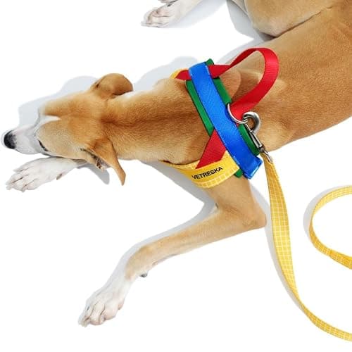 VETRESKA MoMA Dog Harness for Medium Large Dogs, Easy Walk Dog Harness and Leash Set, No Pull Dog Vest Harness for Walking and Training, Adjustable, Take Control & Anti-Twist Pet Lead Combo(Yellow, M) thumbnail 8