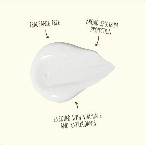 Sun Bum Original SPF 70 Sunscreen Face Lotion - Broad Spectrum Moisturizing Facial Sunscreen with Vitamin E - Fragrance Free - Travel Size - 3 oz thumbnail 3