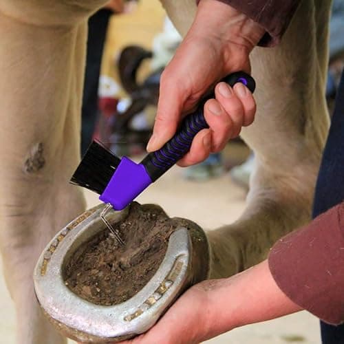 BOTH WINNERS Horse Hoof Pick Brush with Soft Touch Handle (Purple) thumbnail 5