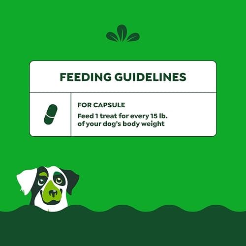 Greenies Pill Pockets for Dogs Large Size, Dog Treat Pouch for Capsule Medication, Peanut Butter Flavor, 7.9 oz. Pouch thumbnail 7