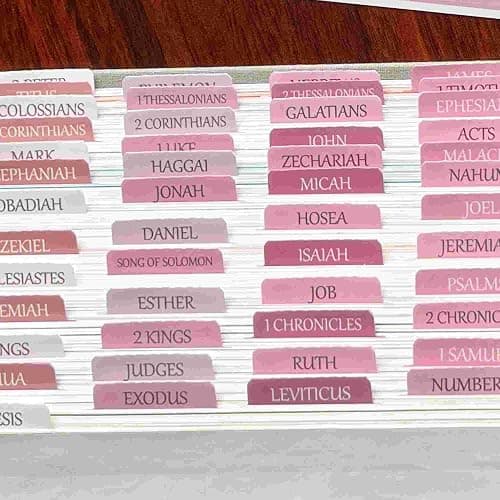 Laminated Bible Tabs, Reposition Large Print Stickers, Easy to Read and Apply Bible Tabs for Women and Man (White Pink) thumbnail 4