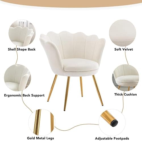 chairus Small Accent Chair for Living Room, Velvet Gold Cute Vanity Chair with Back for Makeup Room, Upholstered Shell Shaped Office Guest Modern Chair Arm Chair, Cream White thumbnail 3