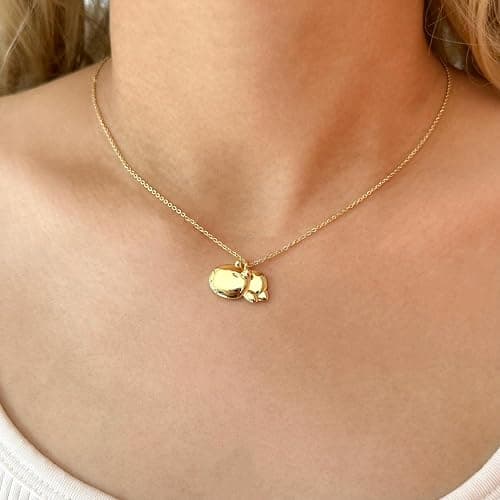 Capybara Axolotl Dog Birds Teacher Necklace Gifts for Best Friend Sister Mom Daughter Teacher Mothers Day Birthday Christmas Thank You Gifts thumbnail 5