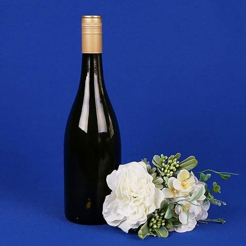 GFCC 6FT x 10FT Royal Blue Backdrop Background Blue Photo Background Photography Backdrop for Photoshoot Screen for Video Recording Picture thumbnail 6