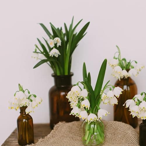 TOPZEA Set of 8 Amber Glass Vase, 17oz Boho Flower Vase Bud Vases Decorative Brown Medicine Glass Bottles Vintage Small Apothecary Jars for Home Décor, Dining Table, Wedding Centerpiece, Bridal Shower thumbnail 8
