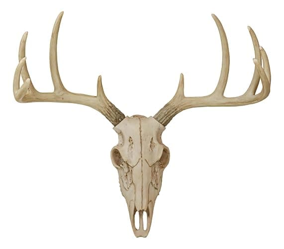 Ebros Gift Rustic Hunter Deer 10 Point Buck Skull Trophy Antlers Wall Mounted Plaque Decor Figurine 14.25" Long Hunter's Antler Rack Theme Deer Buck Hunting Skulls Trophies Hanging Sculpture - Image 1