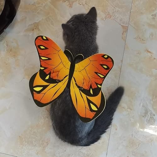 Pet Cat Bat Wings for Halloween Party Decoration, Puppy Collar Leads Cosplay Bat Costume,Cute Puppy Cat Dress Up Accessories thumbnail 2