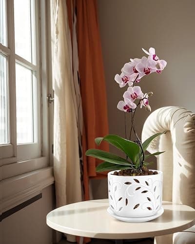 EFISPSS Orchid Pot with Holes, 5+6Inch Ceramic Plant Pots with Drainage Holes and Tray, Promoting Air Circulation and Drainage, Indoor/Outdoor White Flower Pots thumbnail 2