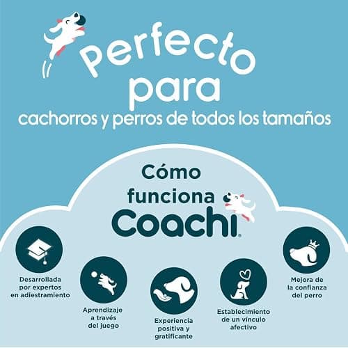 Company of Animals Coachi Target Stick, Telescopic Design with Large Ball for Target, Dog Accessory for Clicker & Agility Training, Teach Commands and Tricks thumbnail 3