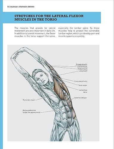Delavier's Stretching Anatomy thumbnail 3