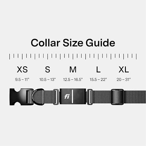 New Fi Series 3+ Smart Dog Tracker Collar – AI GPS for Dogs, Health & Behavior Monitor, Virtual Fence, Escape Alerts, Waterproof, Apple Watch Compatible 12Mo Membership Included thumbnail 7