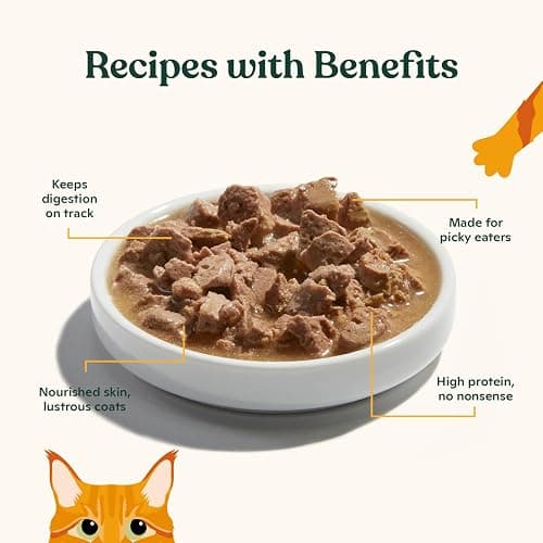 Made by Nacho Wet Cat Food, Cuts in Gravy, Sustainably-Caught Salmon with Bone Broth for Extra Hydration, (12) 3 oz. Pouches, Limited Ingredients thumbnail 4
