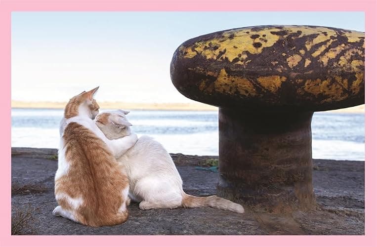 Neko: Cats of Japan thumbnail 6