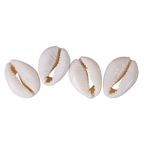 150 PCS White 0.63"-0.71" Natural Strong Cowrie Shell Beads Smooth Cut Oval Seashells, Beach Seashells with Big Hole for DIY Craft Jewelry Making, Adorning Hair Locks and Braids thumbnail 5