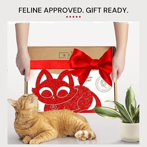 7 Ruby Road Cat Hammock Wall Mounted Shelf with Two Steps Set - Wall Shelves and Perches for Sleeping, Playing, Climbing and Lounging - Modern Cat Bed & Furniture for Indoor and Large Cats or Kitty thumbnail 9